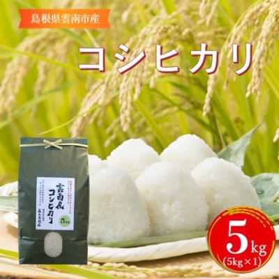 ふるさと納税 雲南市 島根県雲南市産コシヒカリ　5kg(5kg×1)