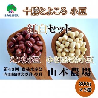 山本農場 十勝とよころの金時豆 紅白詰合せ 800g×2種"北海道 十勝 豊頃町"