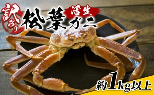 【22016】鳥取県網代産　訳あり松葉がに1kgセット