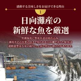 【日向灘どれ】延岡産活〆ブリのお刺身　400g～550g　請関水産　N019-ZA044