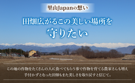 【里山JAPAN】長野県産！生きた土壌で育った御牧原米こしひかり 玄米（令和7年産）　10kg（5kg×2袋）｜2025年10月上旬以降に発送予定