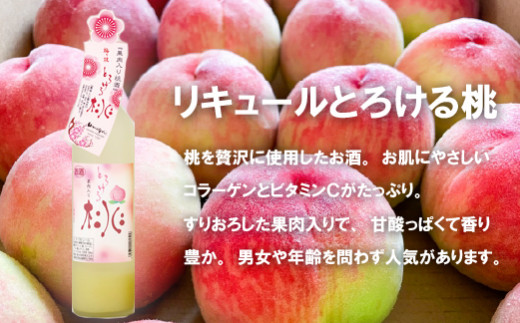 C115a 炭酸割りがGOOD!果肉入フルーツリキュール6種6本