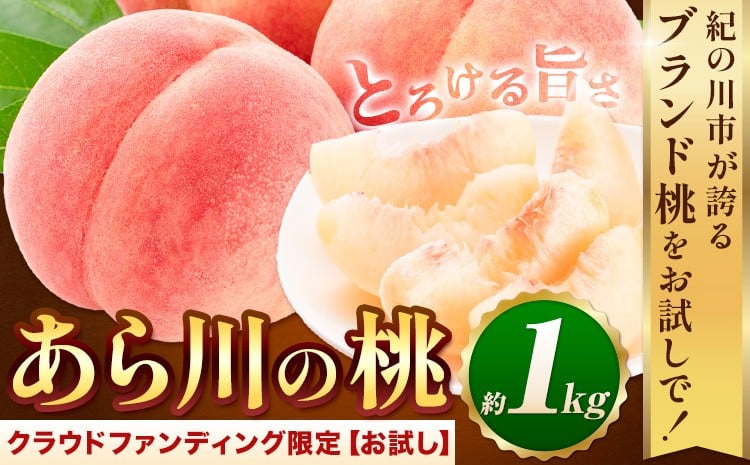 
             桃【アフター保証付】トロっと とろける旨さ ブランド桃 あら川の桃 お試し 約1kg《2026年6月中旬-8月中旬頃出荷》寄附の使い道は「クラウドファンディング」を選択してください。
          