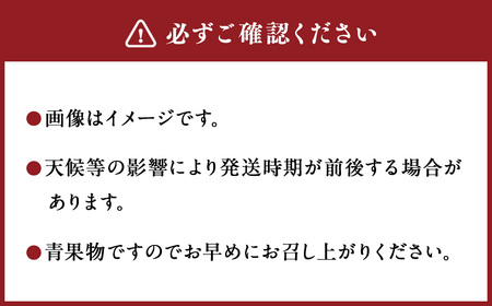 ＜宮崎県産完熟マンゴー 2L×3玉（約1kg）＞2026年4月中旬～7月下旬までに順次出荷【c1131_mm_x2】