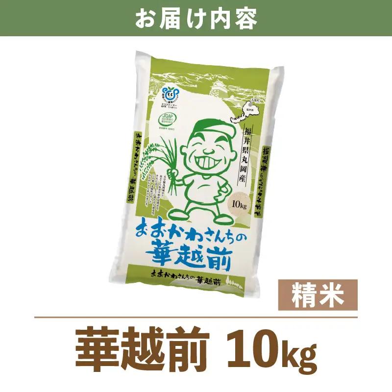【令和7年産】 おおかわさんちの華越前 10kg 精米 [A-10815]