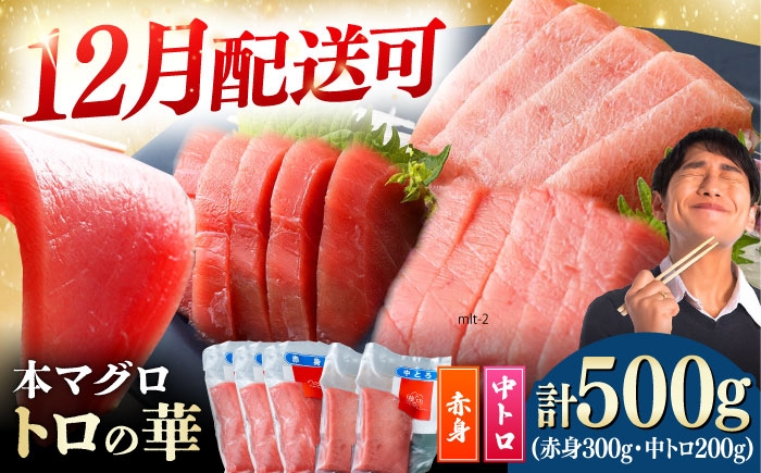 
            【12月配送可能】対馬産 本マグロ 500g（赤身300g、中トロ200g） ≪対馬市≫【桐谷商店】 [WAQ043]
          