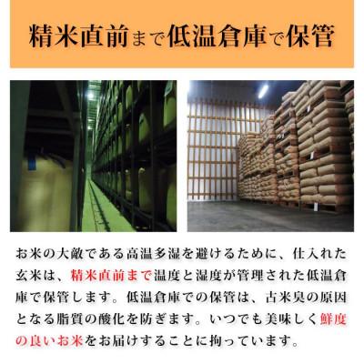ふるさと納税 野々市市 【能登の自然が育む艶やかごはん】石川県産コシヒカリ「能登米」令和7年産 精米10kg(5kg×2袋) |  | 02