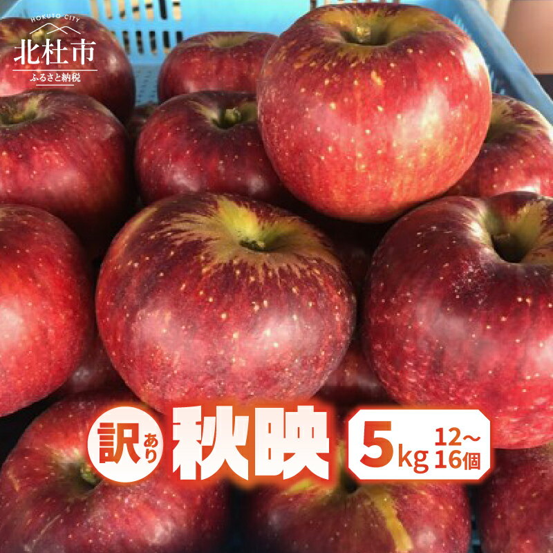 【ふるさと納税】 りんご 訳あり 2025年先行予約 山梨県産 秋映 期間限定 5kg 12個～16個 家庭用 規格外 フルーツ 果物 果実 山梨 北杜市 送料無料