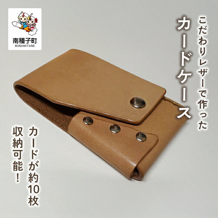 【ふるさと納税】栃木レザー カードケース レザー ハンドメイド 革製品 カード レザーカードケース 父の日 敬老の日 雑貨 日用品 プレゼント 普段使い お中元 人気 おすすめ ギフト プレゼント 返礼品 南種子町 鹿児島 かごしま 【たなか屋two】