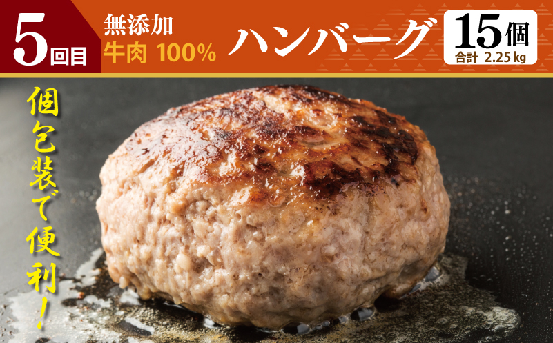 店主セレクト 食べ比べ 定期便 全5回（ハンバーグ／しらす／スンドゥブチゲ／サムギョプサル／干し芋）【毎月配送コース】 G1246