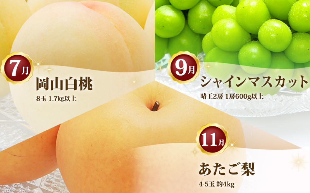 ［2025年先行予約］ 岡山県産 果物定期便 3回コース