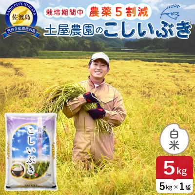 ふるさと納税 佐渡市 【新米】令和8年産 佐渡島産こしいぶき 白米5kg 土屋農園 農家直送 栽培期間中農薬5割減