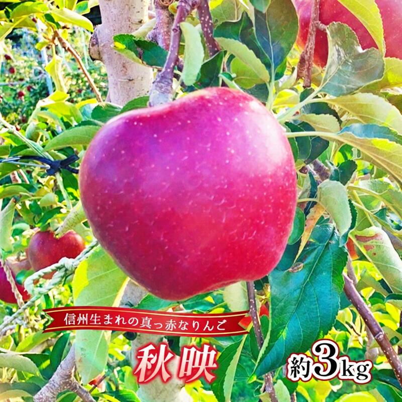 【ふるさと納税】【2026年産】 りんご 秋映 約3kg 林檎 リンゴ 果物 くだもの フルーツ デザート 旬の果物 旬のフルーツ 長野県 長野 信州　お届け：2026年9月下旬～10月中旬まで