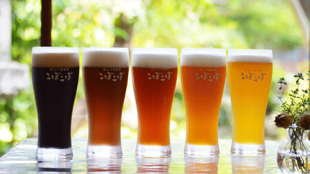 ビール 郡上八幡地ビールこぼこぼ 6本セット