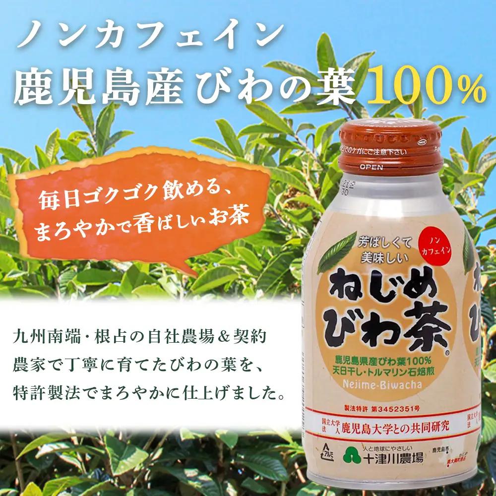 鹿児島県産 ねじめびわ茶 ボトル缶 1ケース（290ml×24本入り）ノンカフェイン TO-403 | 国産 お茶 健康茶 カロリーゼロ 缶 持ち運び 無香料 無着色 ポリフェノール さわやか 甘み 