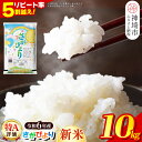 【ふるさと納税】【令和6年産 新米】さがびより 精米 10kg│米 白米 お米 精米 銘柄米 国産 美味しい おいしい ブランド米 人気 コメ こめ おこめ ごはん ご飯 安心安全 取り寄せ グルメ 食べ物 九州産 佐賀県産 特Aランク 送料無料 10キロ 特A受賞米 米 5kg×2袋 H015185