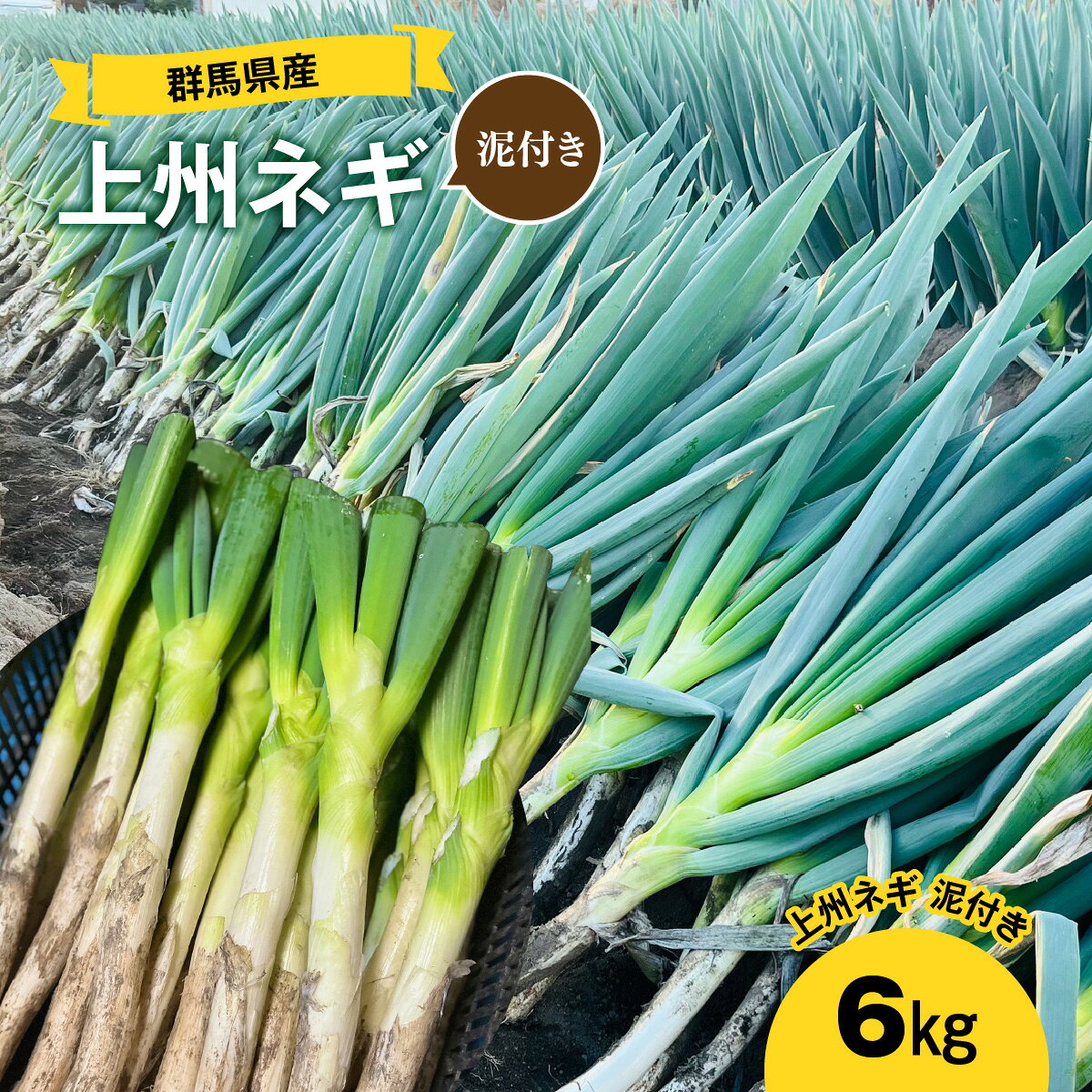 【ふるさと納税】【先行予約】群馬県産 上州ネギ 泥付き6kg ANBQ001