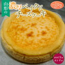 【ふるさと納税】山形の濃厚ベイクドチーズケーキ 1個 FY24-155