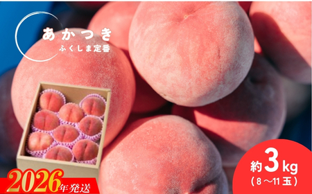 No.2990 福島定番 福島県福島市産もも「あかつき」約3kg(8～11玉)【2026年発送】