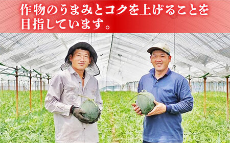 熊本メロン先行予約 肥後グリーンメロン2玉計約4.6kg糖度16度以上めろんZBY002