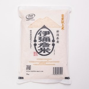 【伊彌彦米とパックごはんセット】精米2kg×2袋　パックごはん4パック【1107193】