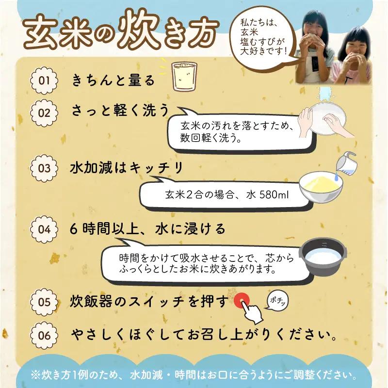 米 令和8年産 コシヒカリ玄米 10kg [A-040030]
