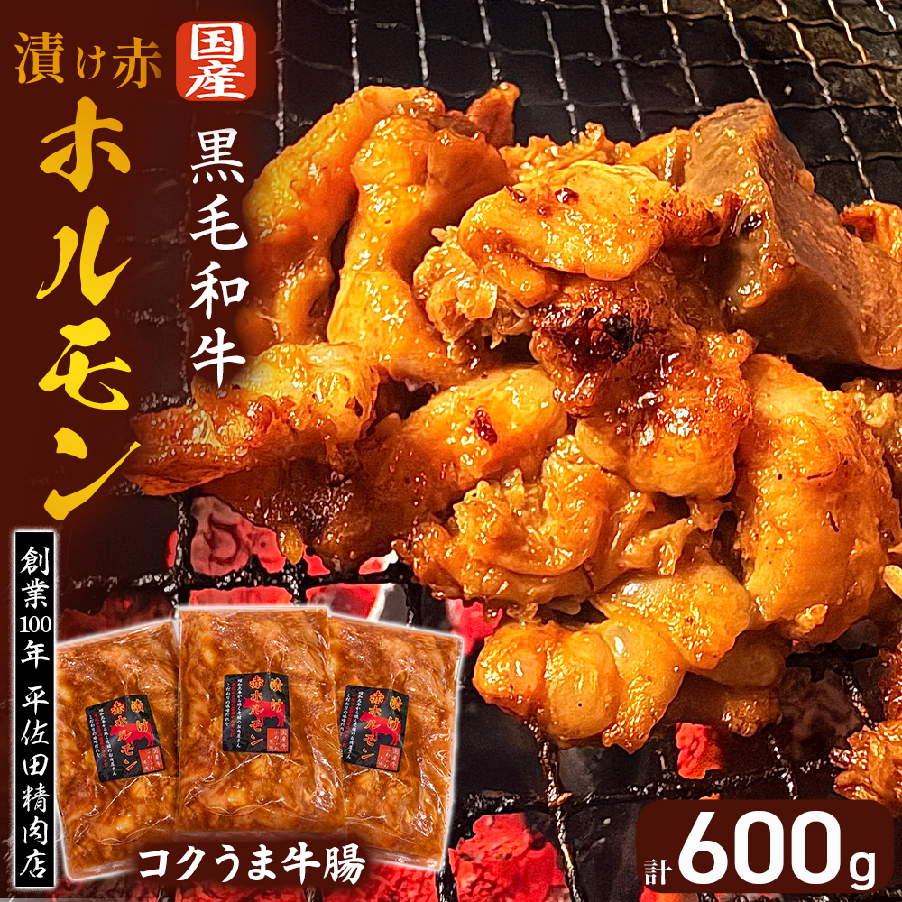 漬け赤ホルモン コクうま牛腸 600g（焼肉 BBQ 人気 ホルモン ホルモン焼き ホルモン肉 味付きホルモン 味付けホルモン 味付き肉 ほるもん 焼肉用ホルモン 冷凍ホルモン）
