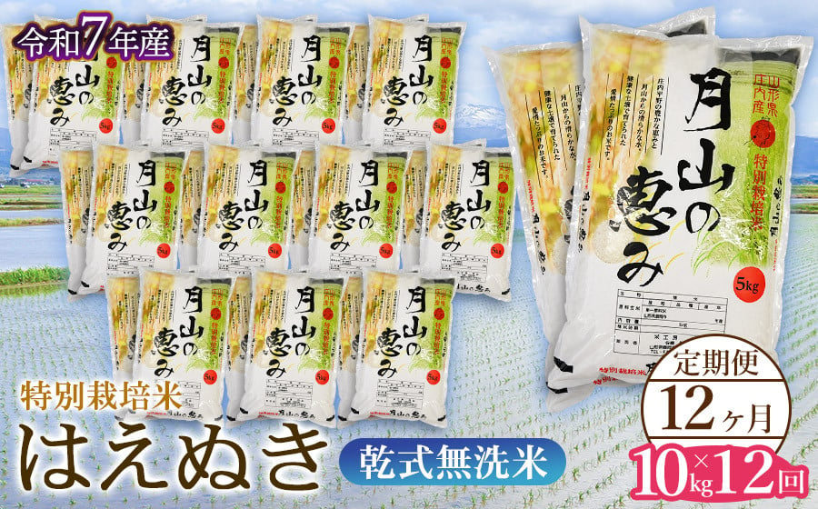 
            【令和7年産先行予約】 12ヶ月定期便 特別栽培米 はえぬき 乾式無洗米 10kg×12回　毎月1回中旬発送　山形県鶴岡市産　米工房月山
          