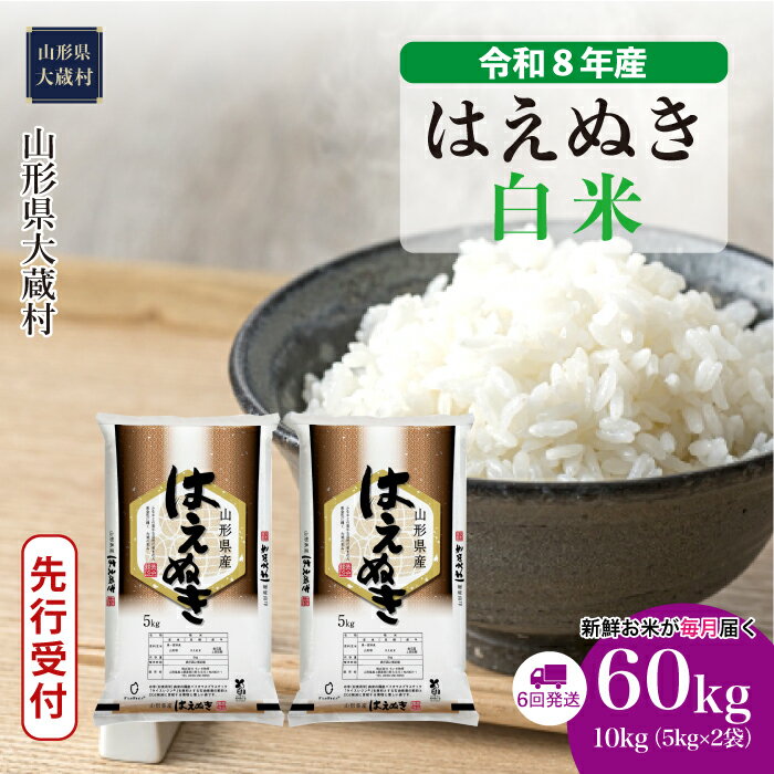 【ふるさと納税】＜令和8年産米先行受付＞ 大蔵村 はえぬき ＜白米＞ 定期便 60kg （10kg×1ヶ月間隔で6回お届け）