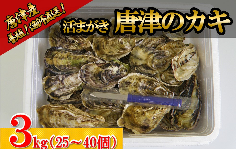 
「活まがき　唐津のカキ」（養殖）3kg（25～40個）
