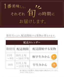 フルーツ定期便 2回 三豊市 極早生みかん2.5kg 早生みかん2.5kg【配送不可地域：北海道・沖縄県・離島】_M160-0023