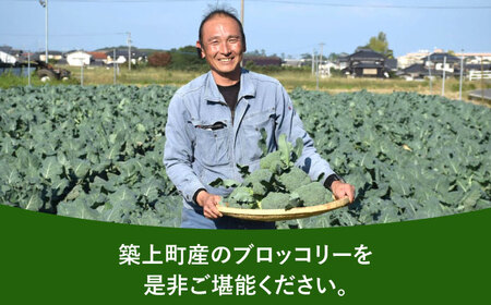【先行予約】　【30箱限定】ブロッコリーLサイズ6株氷詰め《築上町》【下田農園】[ABDX001]