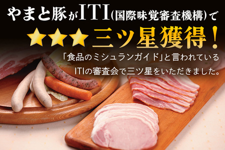 フリーデン やまと豚 おいしい朝食セット ( ハム ベーコン ソーセージ ウインナー ) [0364]