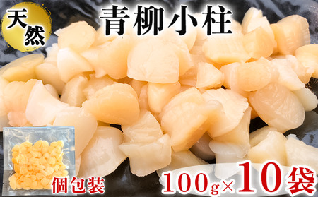 岬だより 貝専門店 天然の青柳小柱　100g×10袋 [配送不可地域：離島]