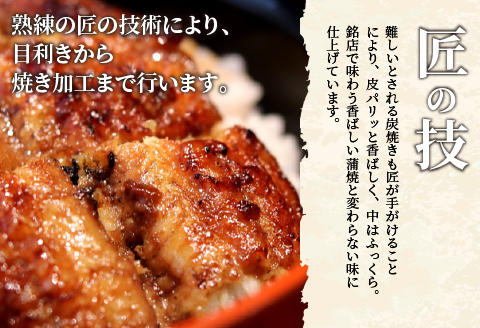備長炭手焼き 宮崎市佐土原産 和匠うなぎの蒲焼カット10パックセット(計1kg) 山椒付き