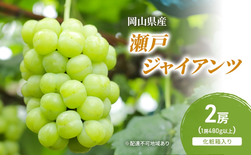 
                  [№5615-0841]ぶどう 2026年 先行予約 瀬戸ジャイアンツ 2房(1房480g以上) 化粧箱入り ブドウ 葡萄 岡山県産 国産 フルーツ 果物 ギフト
                
