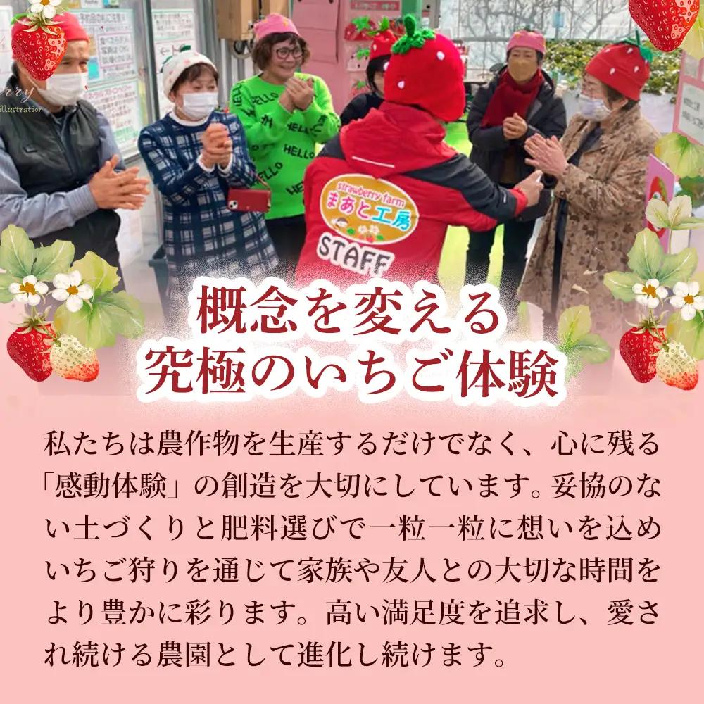 【体験】 【開催期間 2027年1月1日～5月7日】 オリジナルいちごと人気ブランドいちごの食べ比べ いちご狩り体験チケット ( 4名様分)【maato005】