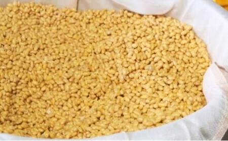 無添加 米味噌 850g ×2 栽培期間中 農薬・化学肥料不使用 ミソ みそ 味噌 米みそ 国産 天然醸造蔵仕込み 天然醸造 調味料 調味料セット 福岡 福岡県 小郡市