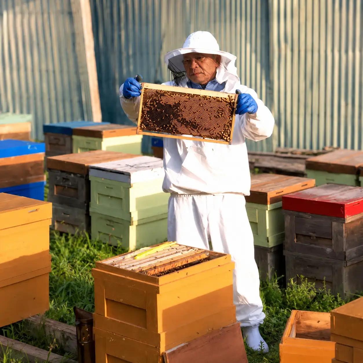 里山の はちみつ  あいなん の 雫 110g × 4本 セット はちみつ 蜂蜜 完熟 無添加 はちみつ 蜂蜜 産直 愛媛県 愛南町 はちみつ 蜂蜜 なくなり次第終了 