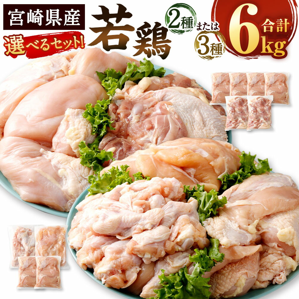 【ふるさと納税】【配送月が選べる】＜宮崎県産 若鶏 2種 または 3種 計6kg セット＞ お選びの配送月に順次発送 鶏肉 鳥肉 肉 個包装 ムネ モモ 手羽元 花いちもんめ 鶏肉 特産品 宮崎県 高鍋町 【冷凍】