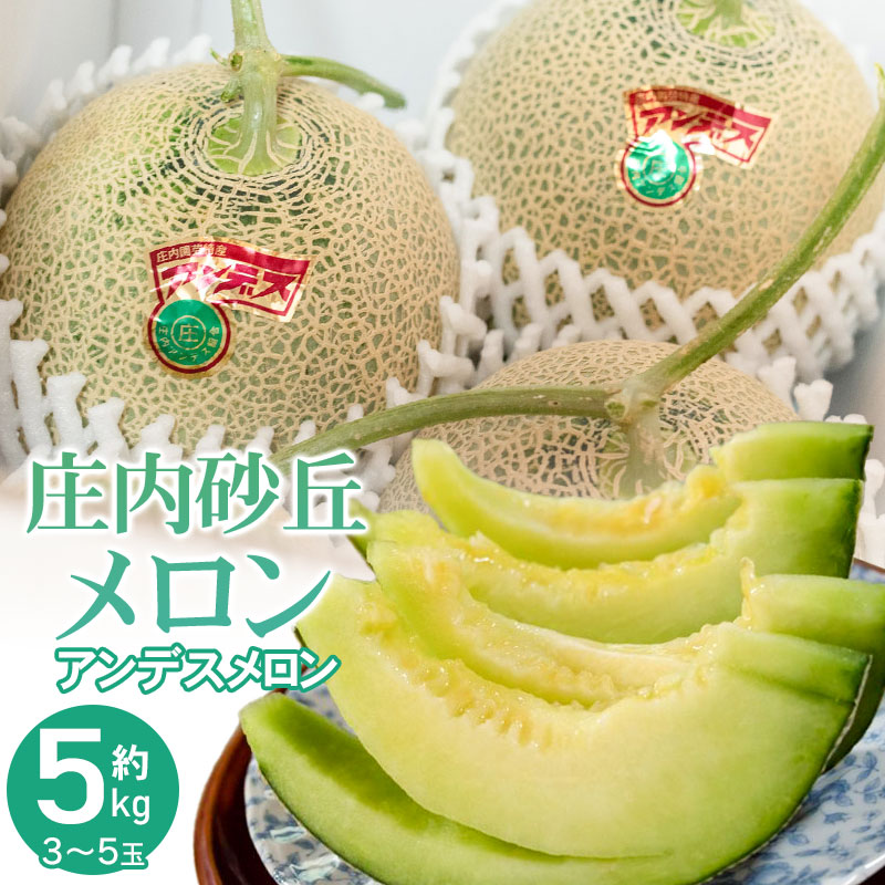 【令和8年産先行予約】菅原農園の庄内砂丘メロン 約5kg （3玉～5玉） アンデス メロン 【7月下旬～8月上旬】　k-839　菅原農園　鶴岡地区物産協同組合