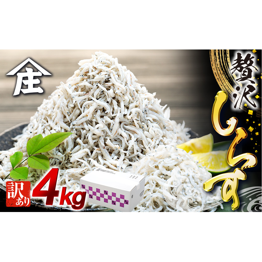 しらす 4kg ( 1kg × 4箱 ) 訳あり 冷凍 しらす干し 減塩 釜揚げ ごはん 丼 パスタ チャーハン サラダ 魚 料理 山庄 愛知県 南知多町 師崎