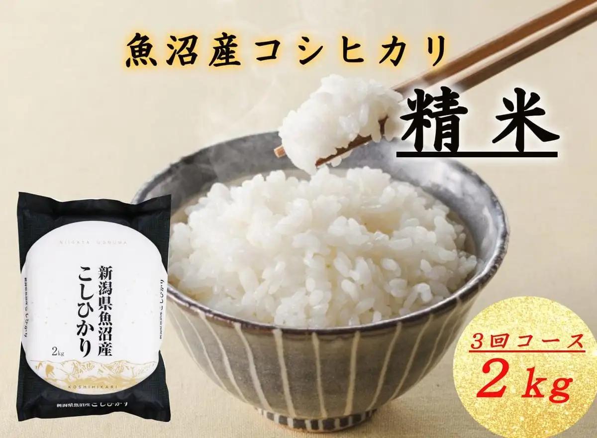 コシヒカリ 定期便 無洗米 魚沼産 2kg×全6回 コシヒカリ
