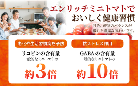 【先行予約】【高糖度11以上】PREMIUM ENRICH MINI TOMATO 300g（プレミアムエンリッチミニトマト） OSMN014
