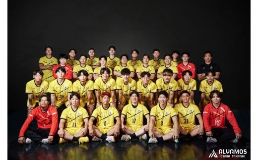 【お礼の品なし】プロスポーツチーム等支援事業補助金（アルバモス大阪高石）【寄付金額100,000円】