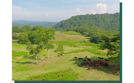 山形県産短角牛＆米澤豚一番育ちハンバーグ10個セット（100g×10個）総量1000g F2Y-6541