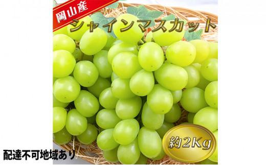 ぶどう 2025年 先行予約 シャイン マスカット 【9月上旬～9月下旬頃発送】約2kg 糖度抜群！ ブドウ 葡萄 岡山県産 国産 フルーツ 果物 ギフト
