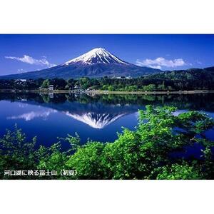 【富士河口湖町】JTBふるさと旅行券（900,000円分）有効期間5年 | 予約 宿泊 観光 体験 温泉 ホテル 旅館 チケット 子供 子連れ カップル 家族 店頭 電話 河口湖