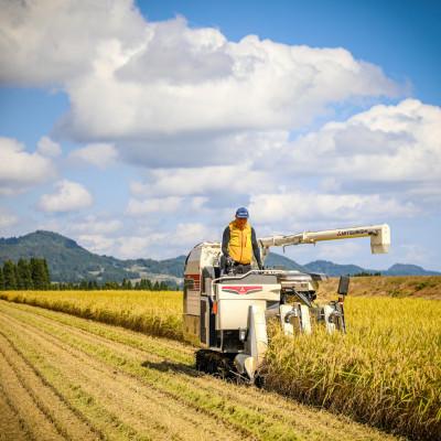 ふるさと納税 津南町 【毎月定期便】県認証特別栽培魚沼産コシヒカリ10kg (10kg×1袋)×6回 合計60kg全6回 |  | 02