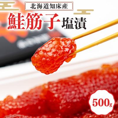ふるさと納税 斜里町 【北海道知床産】鮭筋子(塩漬) 500g